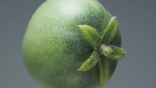 Green Small Cherry Tomato Rotates Gray Background Close — Vídeos de Stock