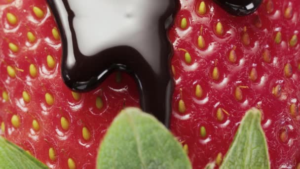 Fragole Con Foglie Verdi Super Macro Versato Con Cioccolato — Video Stock