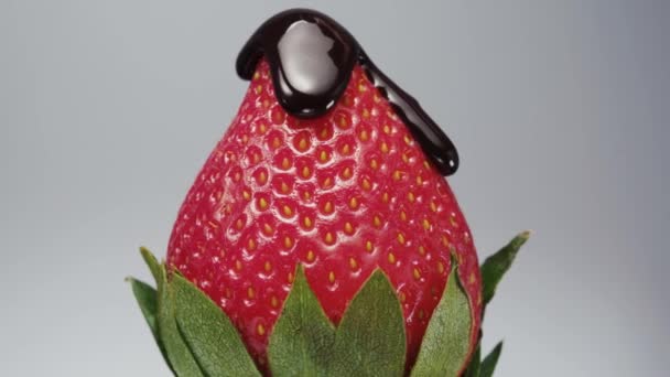 Strawberries Green Leaves Spinning Poured Chocolate White Background Close — Video