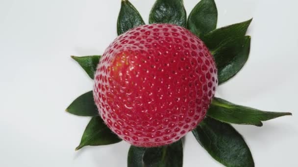 Erdbeeren Mit Grünen Blättern Dreht Sich Draufsicht Auf Weißem Hintergrund — Stockvideo