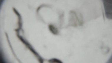 Bardakta kamera, alt manzara. Temiz bir bardağa köpüklü su döker. Yakın plan, beyaz arkaplan