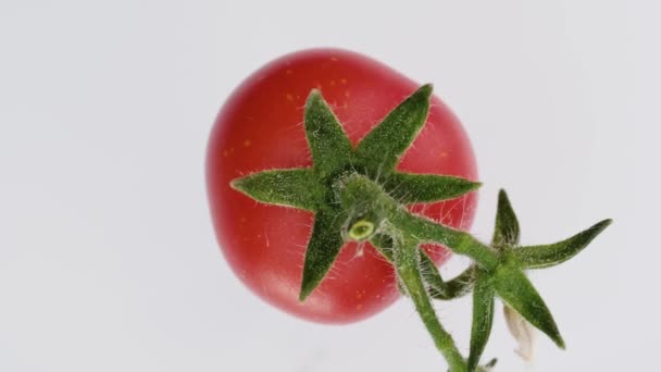 有绿叶和花朵的心形小西红柿 旋转着 在一个白色的背景特写 从上面看 — 图库视频影像