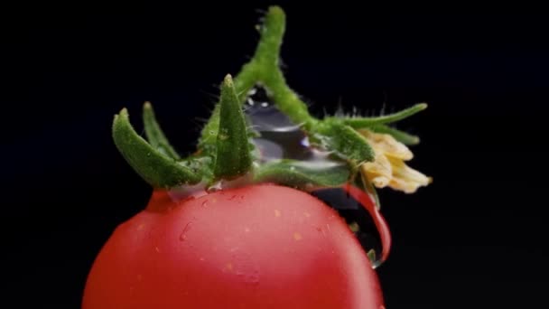 Μικρή Ντομάτα Σχήμα Καρδιάς Πράσινα Φύλλα Και Λουλούδι Περιστρέφεται Ένα — Αρχείο Βίντεο