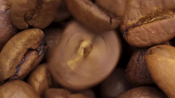 Bir Kahve Çekirdeği Diğer Fasulye Yığınının Içinde Dönüyor Makro — Stok video