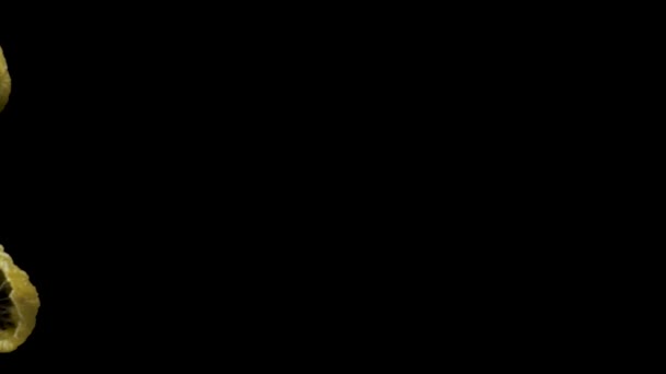 Dried Kiwi Rotate Black Background Close Move — Vídeos de Stock