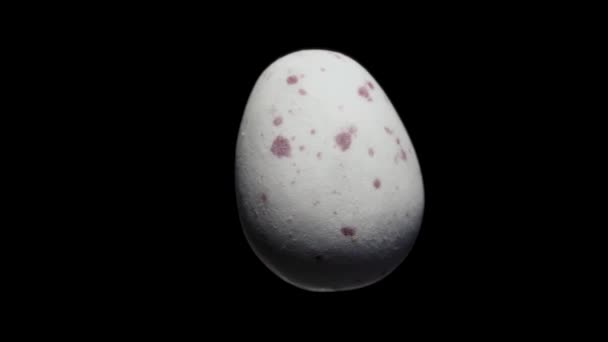 チョコレートの白いミニ卵は 黒の背景のクローズアップで回転します 移動中 — ストック動画