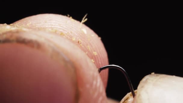 Μύγα Είναι Προνύμφη Σκουλήκι Είναι Φυτεμένο Αγκίστρι Ψαρέματος Μακροεντολή — Αρχείο Βίντεο