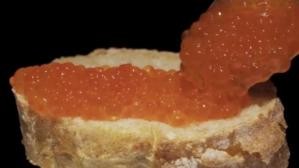Messo Cucchiaio Caviale Rosso Pezzo Rotante Baguette Primo Piano — Video Stock