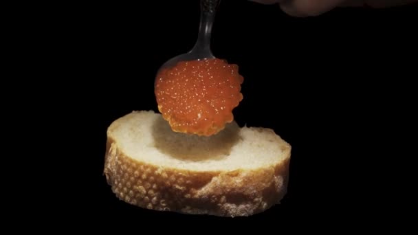 Put Spoonful Red Caviar Rotating Piece Baguette Close — Vídeo de stock