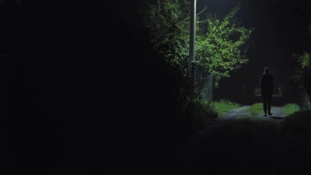 一位穿着靴子的女士在夜里穿过树林 沿着大路走着 单盏前灯和车灯 — 图库视频影像