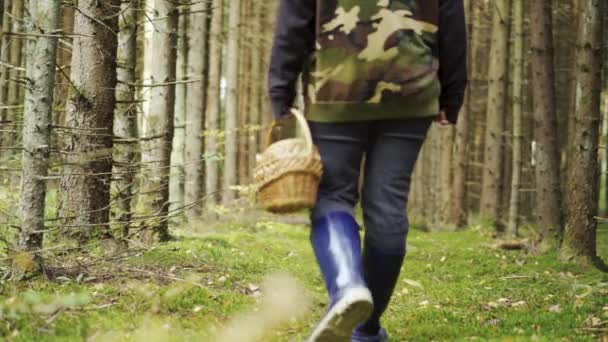 Girl Camouflage Jacket Walks Woods Basket Looking Mushrooms — Stock Video
