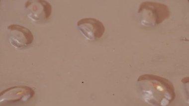 Whole hazelnuts covered with milk chocolate, macro slide shot