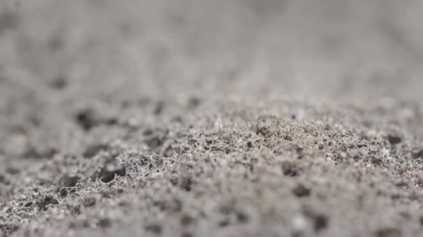 Porous Black Material Sound Insulation Macro Slide Shot — Video Stock