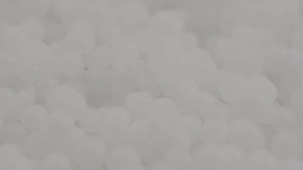 White Granules Fertilizer Plants Macro Slide Shot — Stock videók