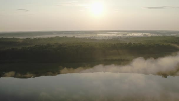 Drone Video Summer Dawn Fog Forest Lake — Video Stock