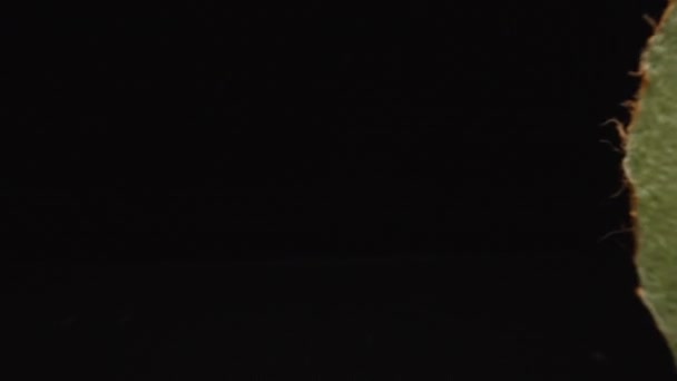 黒い背景のマクロにカットされたキウイフルーツを通してカメラの飛行 — ストック動画