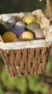 A girl holds a knitted basket with decorated Easter eggs. in the forest on the background of green grass. Vertical video Social Media