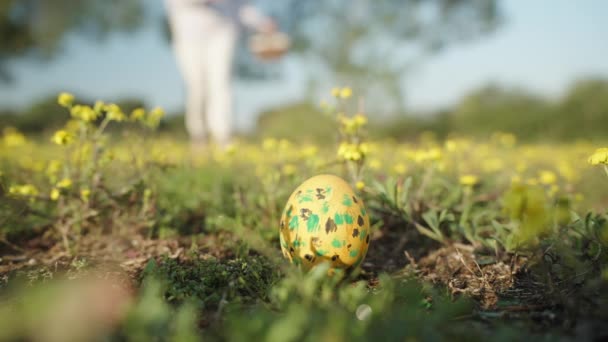 バスケットを持つ女の子は黄色の花のフィールドを通って実行され イースター黄色の卵を小道具 スローモーションのクローズアップ — ストック動画