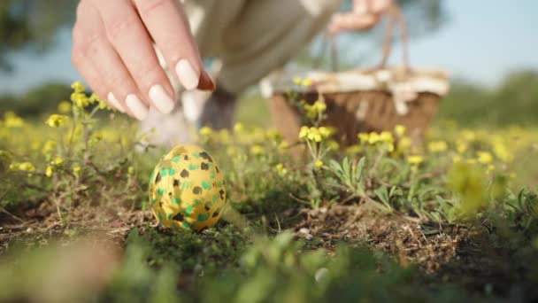 Painted Yellow Easter Egg Lies Field Surrounded Yellow Flowers Girl — Stockvideo