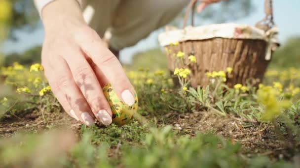 Girl White Basket Looking Easter Eggs Field Yellow Flowers Collects — 图库视频影像