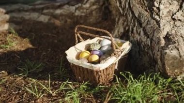 There is a wicker basket with decorated Easter eggs at a large pine tree, the girl reaches out to her and takes a white egg.