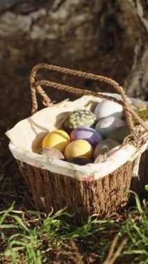 There is a wicker basket with decorated Easter eggs at a large pine tree, the girl reaches out to her and takes a white egg. Vertical video Social Media