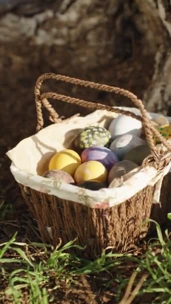 Wicker Basket Decorated Easter Eggs Large Pine Tree Girl Reaches — 图库视频影像