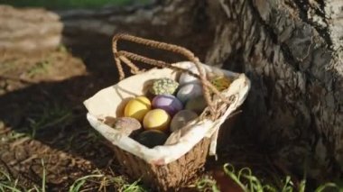 Knitted basket with Easter Eggs in a pine forest near a large tree, Sunny, close-up.
