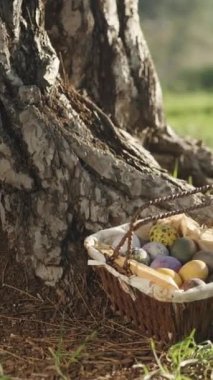 A basket of Easter eggs in a sunny forest, next to a large tree. I reach out to her to take the egg, she hits my hand and take the basket. Vertical video Social Media