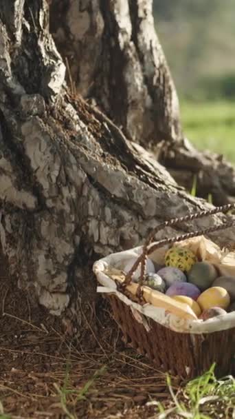Basket Easter Eggs Sunny Forest Next Large Tree Reach Out — Stock Video