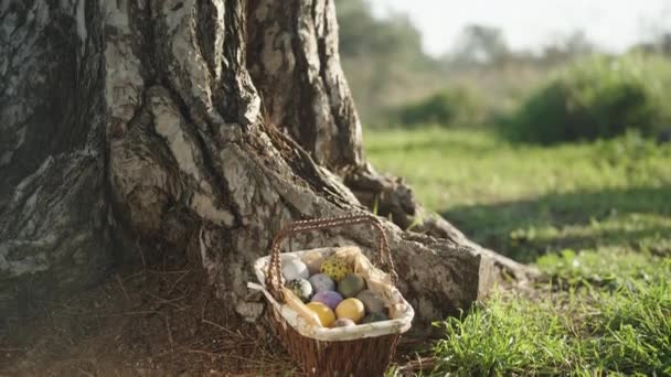 Basket Easter Decorated Eggs Sunny Forest Large Pine Tree Tilt — Vídeos de Stock