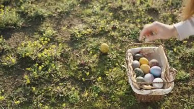 A painted Easter egg lies in a clearing among yellow flowers. The girl picks it up and puts it in a basket with other eggs. close-up, slow motion. View from above.