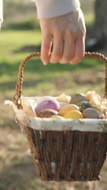 Sunny Forest Early Morning Girl Walks Basket Easter Eggs Rear — 图库视频影像