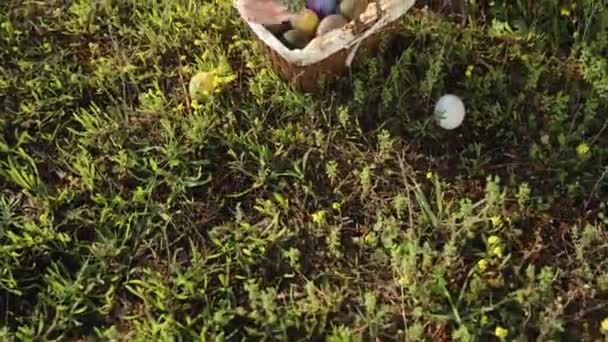 Поляне Солнечный День Девушка Собирает Пасхальные Яйца Корзине Вид Сверху — стоковое видео