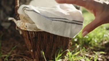 A wicker basket stands by a tree in a sunny forest. I pick up the towel, and there are Easter eggs in the basket, decorated. close-up.