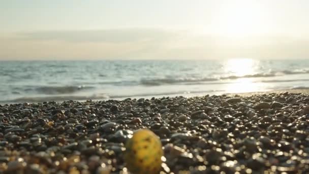 Yellow Easter Egg Lies Pebble Sea Sunset Sun Close Focus — Vídeos de Stock