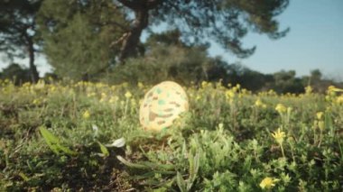 Easter egg in a sunny forest in a clearing decorated in the color of yellow flowers. Dolly slider extreme close-up