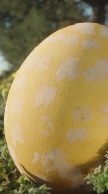 Easter egg painted in yellow and white dots lies on the green grass next to yellow flowers. Dolly slider extreme close-up. Vertical video Social Media