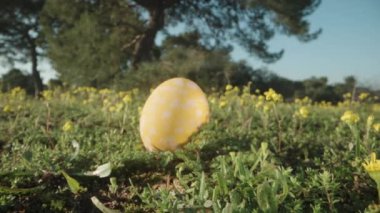 The Easter painted egg is hidden among the green grass and yellow flowers. Dolly slider macro zoom.