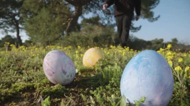 Three colored Easter eggs are scattered on the grass in the forest among yellow flowers, I go up and take the blue egg. Close-up