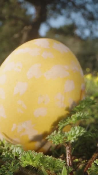 3つの装飾イースターの卵は黄色の花の間の森の中の草の上に散在している ドリースライダー極端なクローズアップ ドリースライダー極端なクローズアップ 垂直ビデオ ソーシャルメディア — ストック動画