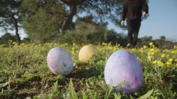 Man Black Collects Easter Eggs Sunny Forest Green Lawn Yellow — Stockvideo