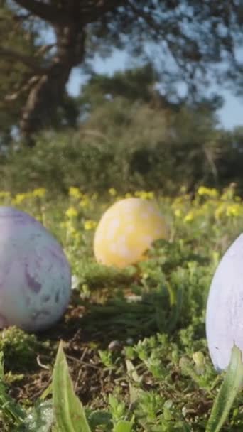 Man Black Collects Easter Eggs Sunny Forest Green Lawn Yellow — Vídeo de Stock