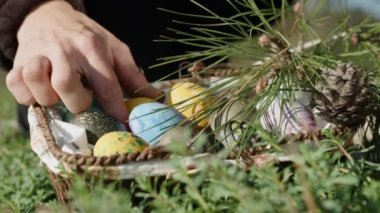 Knitted basket with Easter eggs. A pine branch and a cone fell into it. I take and examine the eggs one by one. Close-up.