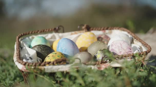 Knitted Basket Easter Eggs Hidden Grass Glistening Sun Forest Close — Stockvideo