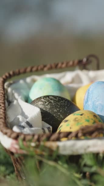 Knitted Basket Easter Eggs Hidden Grass Glistening Sun Forest Close — Video