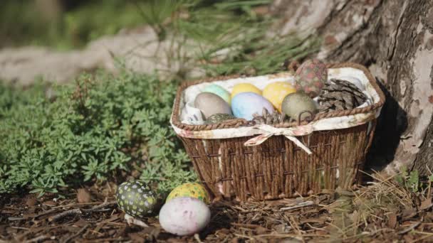 Wicker Basket Decorated Easter Eggs Stands Pine Tree Forest Three — Vídeos de Stock