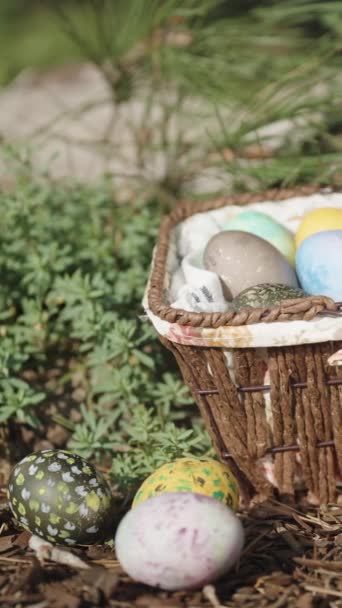 Wicker Basket Decorated Easter Eggs Stands Pine Tree Forest Three — Stockvideo