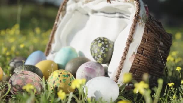 Coșul Răchită Ouă Paști Căzut Iar Ouăle Decorate Află Iarba — Videoclip de stoc