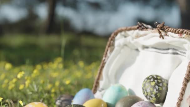 Wicker Basket Easter Eggs Has Fallen Decorated Eggs Lying Green — Vídeos de Stock